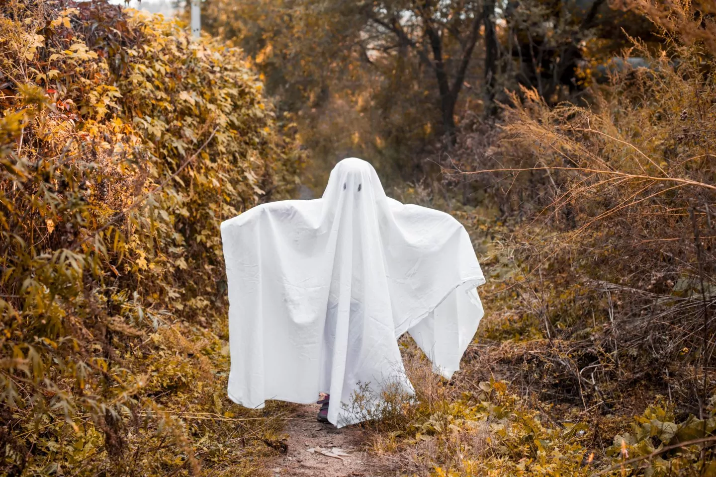 little girl dressed as a halloween ghost child is 2023 11 27 04 48 55 utc